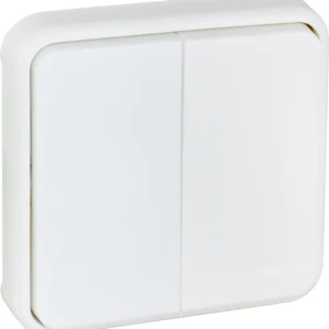 Double two-way switch mechanism